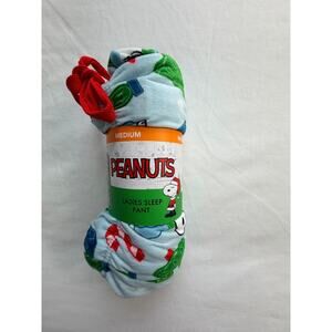 NWT Peanuts Snoopy Christmas Pajama Set - Blue/Green Holiday Print - Medium